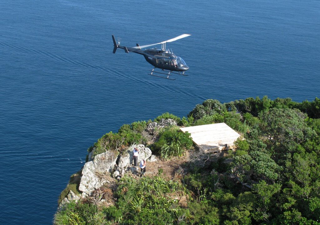 Bay of Islands Hole in the Rock Helicopter Landing Experience from Paihia! - Image 4