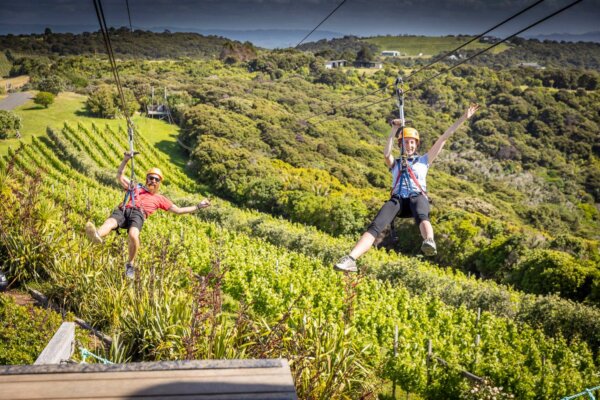 Waiheke Island Zipline Tour - Image 4