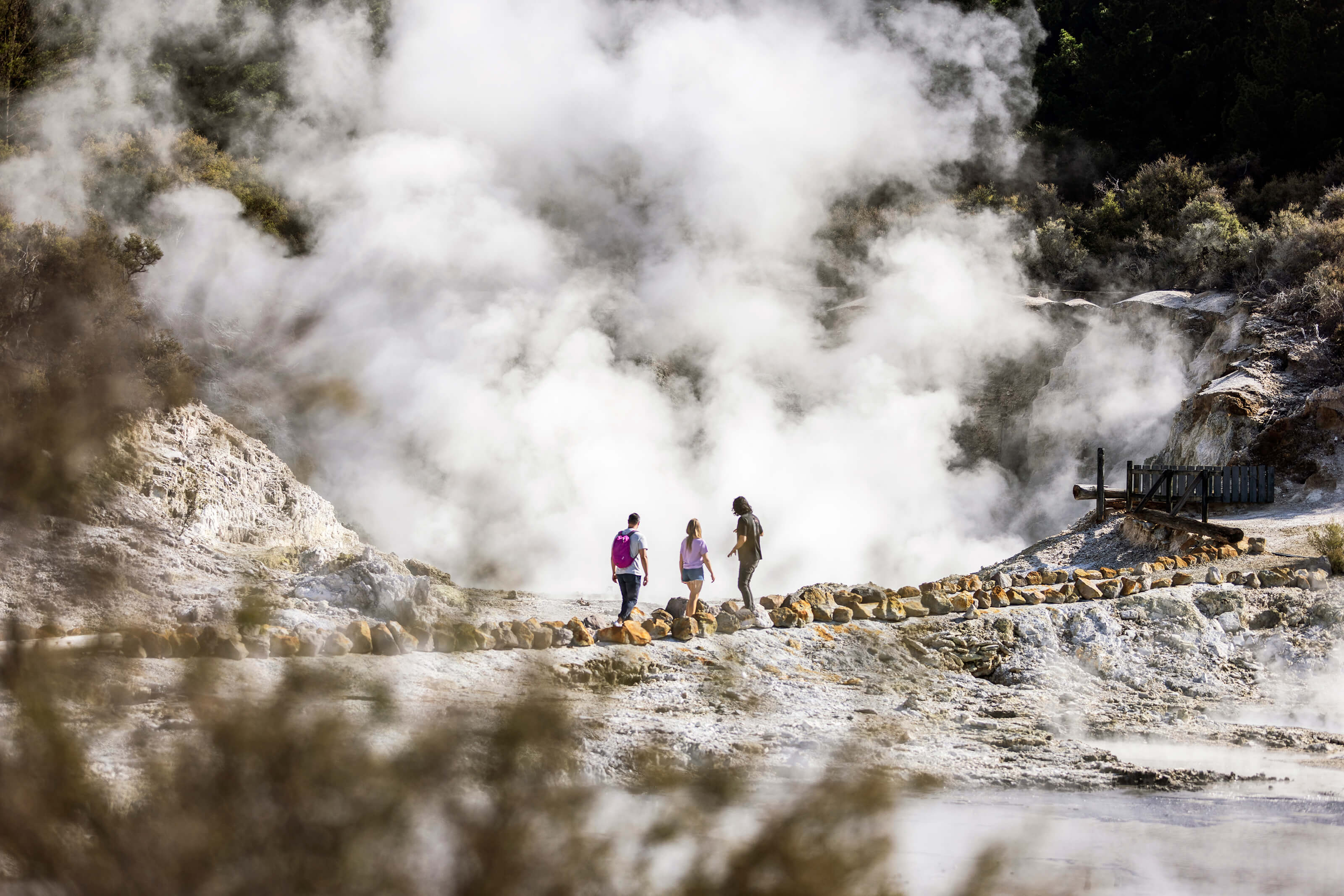 Hell's Gate Rotorua Geothermal Discovery Walk - Image 4