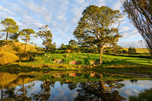 Experience the Magic of Middle Earth on a Hobbiton Movie Set Tour - Image 2