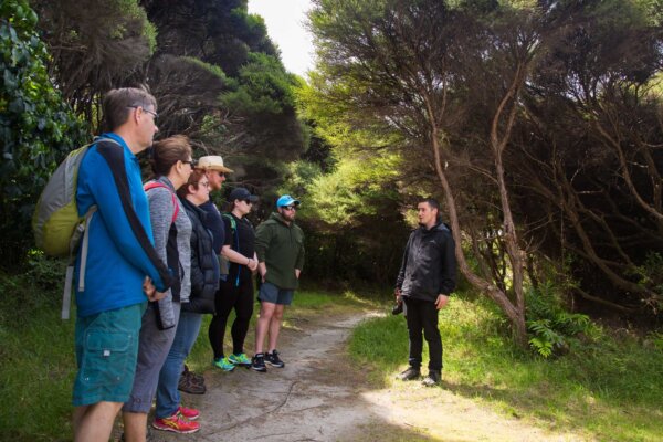 Kapiti Island Ferry Day Trip Walking Nature Tour Chuffed Gifts