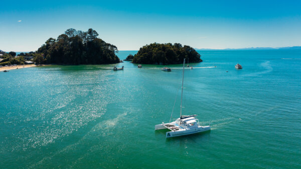 Afternoon Sailing trip in the Abel Tasman - Image 3