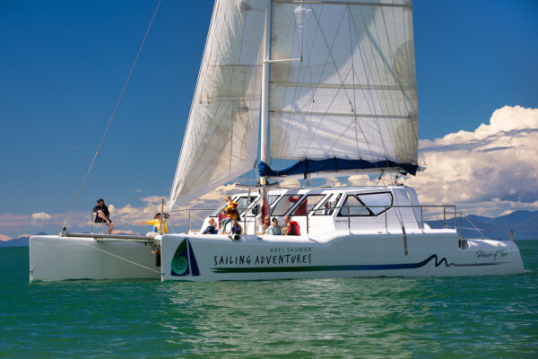 Afternoon Sailing trip in the Abel Tasman - Image 4