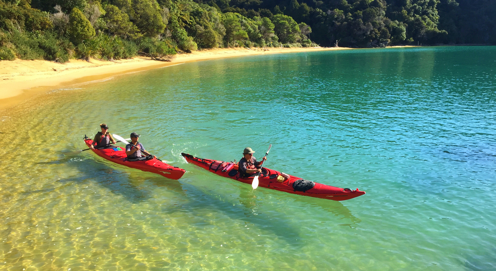 Guided Sea Kayaking in Abel Tasman National Park