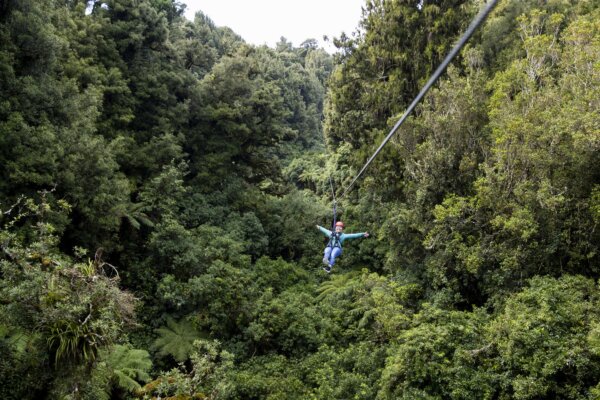 Rotorua Canopy tree adventures treetop adventure course Chuffed Gifts