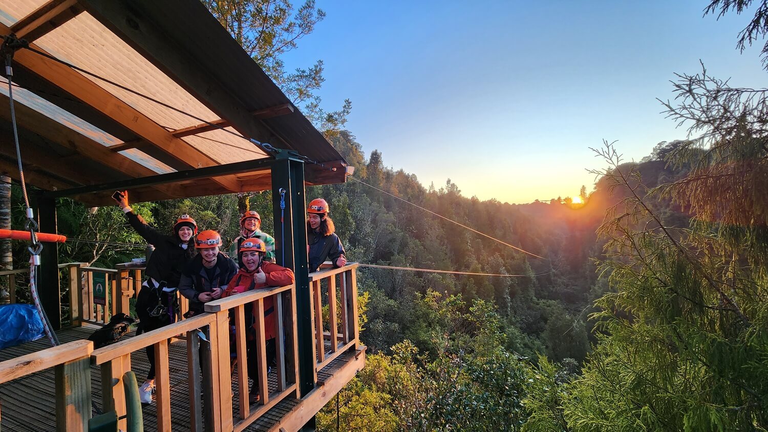 Explore an incredible Native Forest via Ziplines, Cliff Walks and suspended bridges with Rotorua Canopy Tours - Image 4