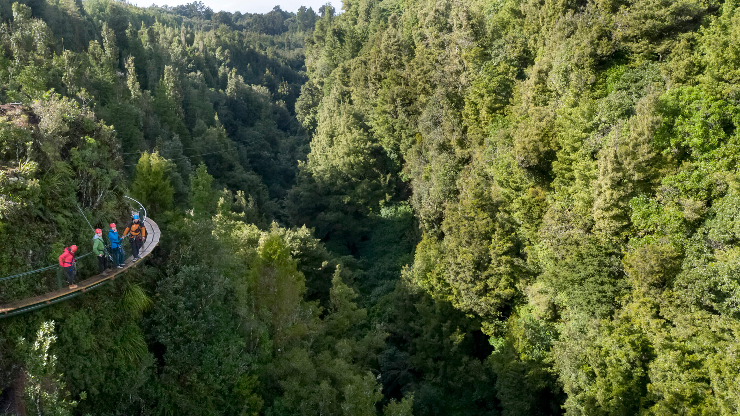Explore an incredible Native Forest via Ziplines, Cliff Walks and suspended bridges with Rotorua Canopy Tours - Image 3