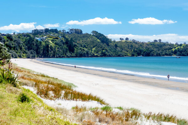 Waiheke Island Zipline Tour - Image 2