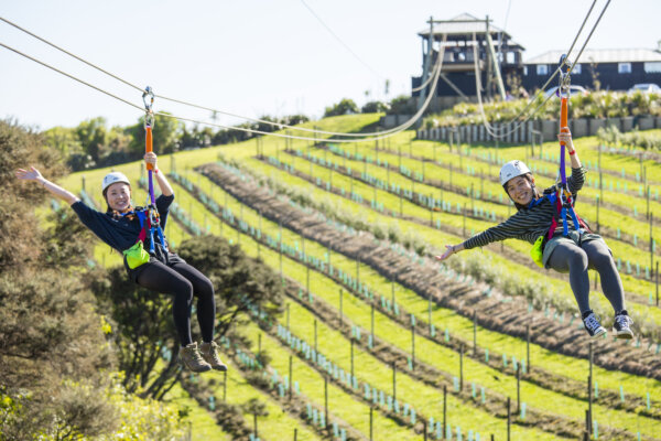 Waiheke Island Zipline Tour - Image 3