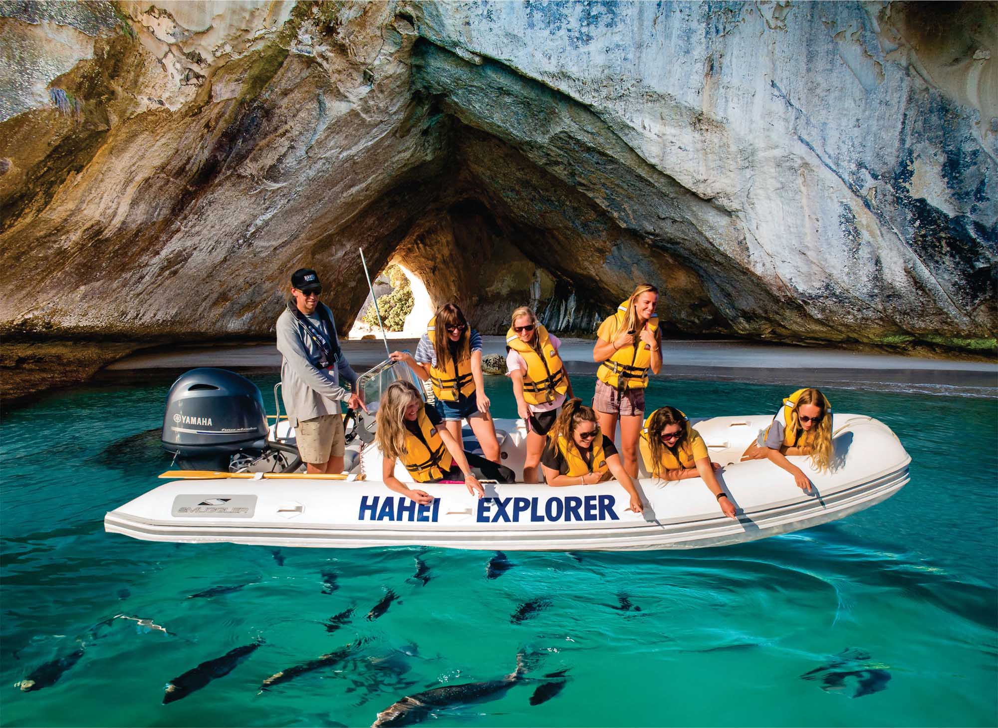 Explore Coromandel's famous Cathedral Cove on this stunning boat tour!
