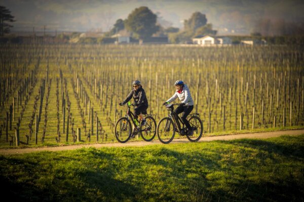 Full Day E-Bike Hire - Image 2