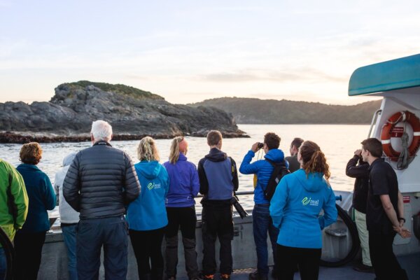 Stewart Island Wild Kiwi Encounter - Image 4