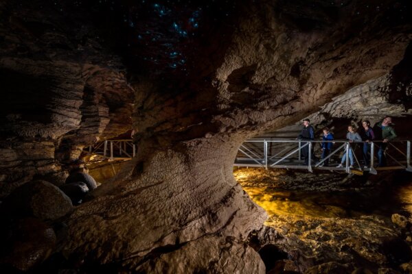 Glowworm Cave Tour - Image 4
