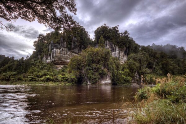 Nile River Rainforest Train Paparoa National Park Rainforest Train Journey Chuffed Gifts