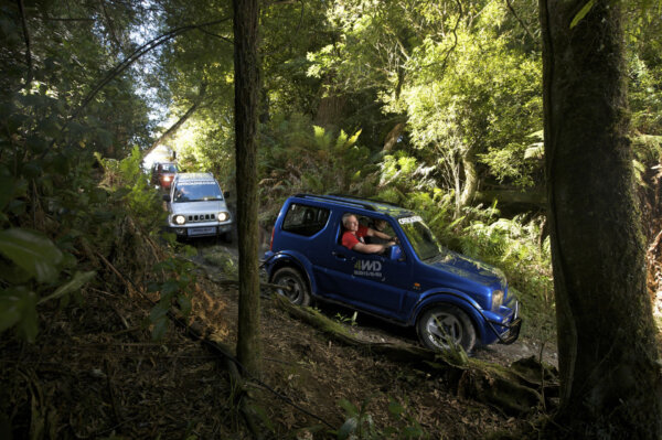 Four wheel Drive Bush Safari - Image 4
