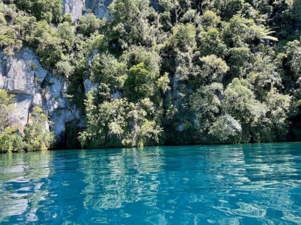 Depart Kinloch & explore the hidden gems on the Western side of Lake Taupo - Image 2