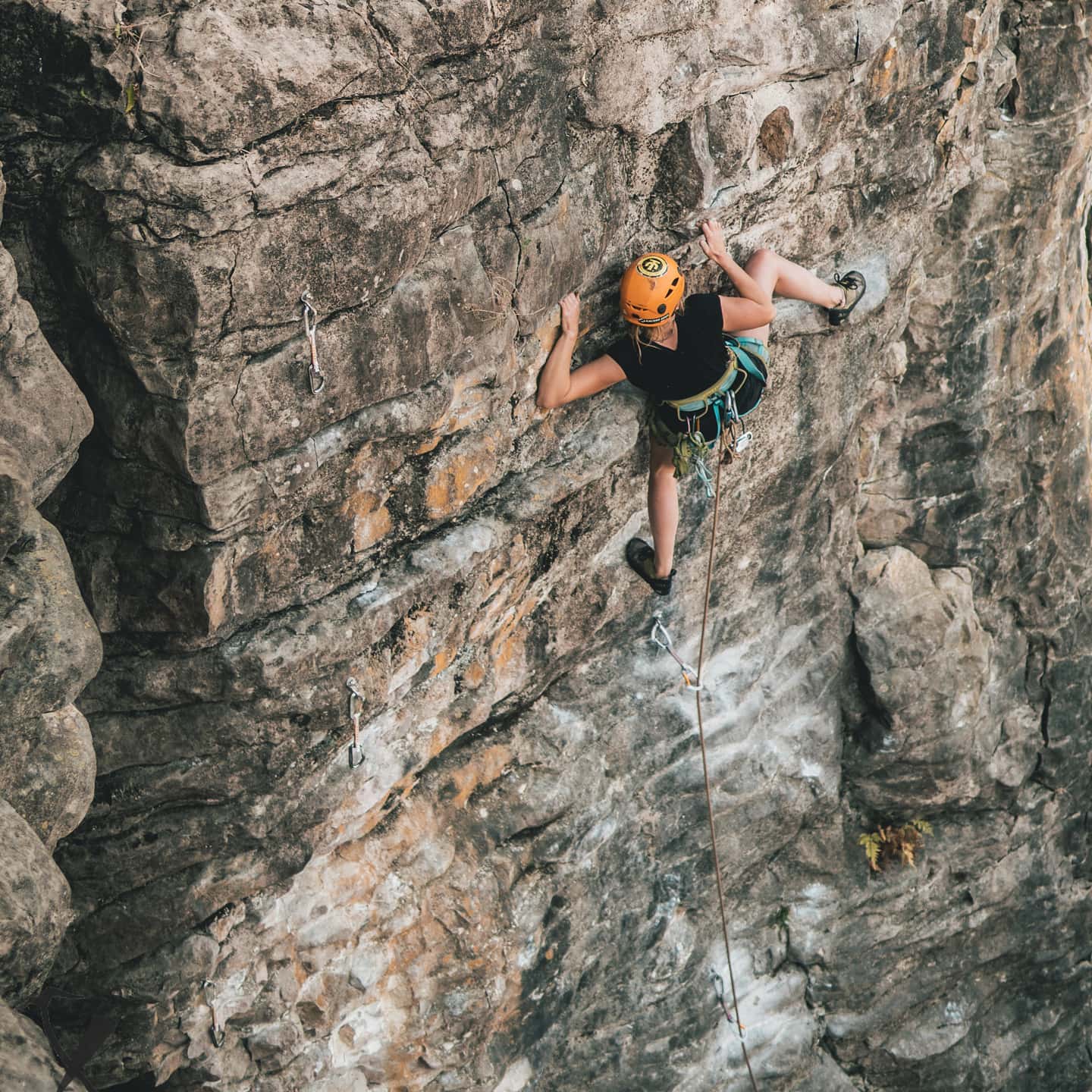 Take a Two day Rock Climbing course near Raglan! - Image 3