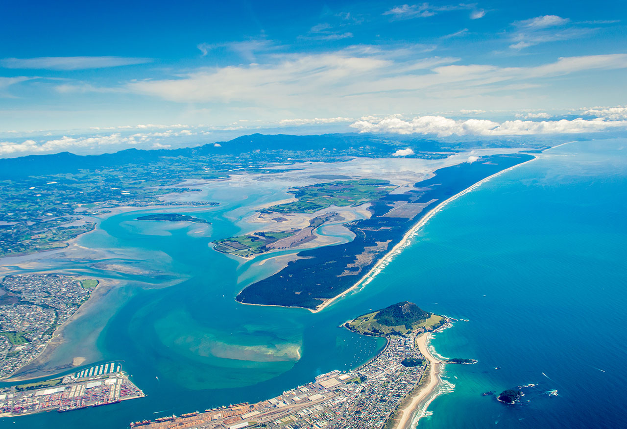 12,000 Foot Skydive over Tauranga - Image 4