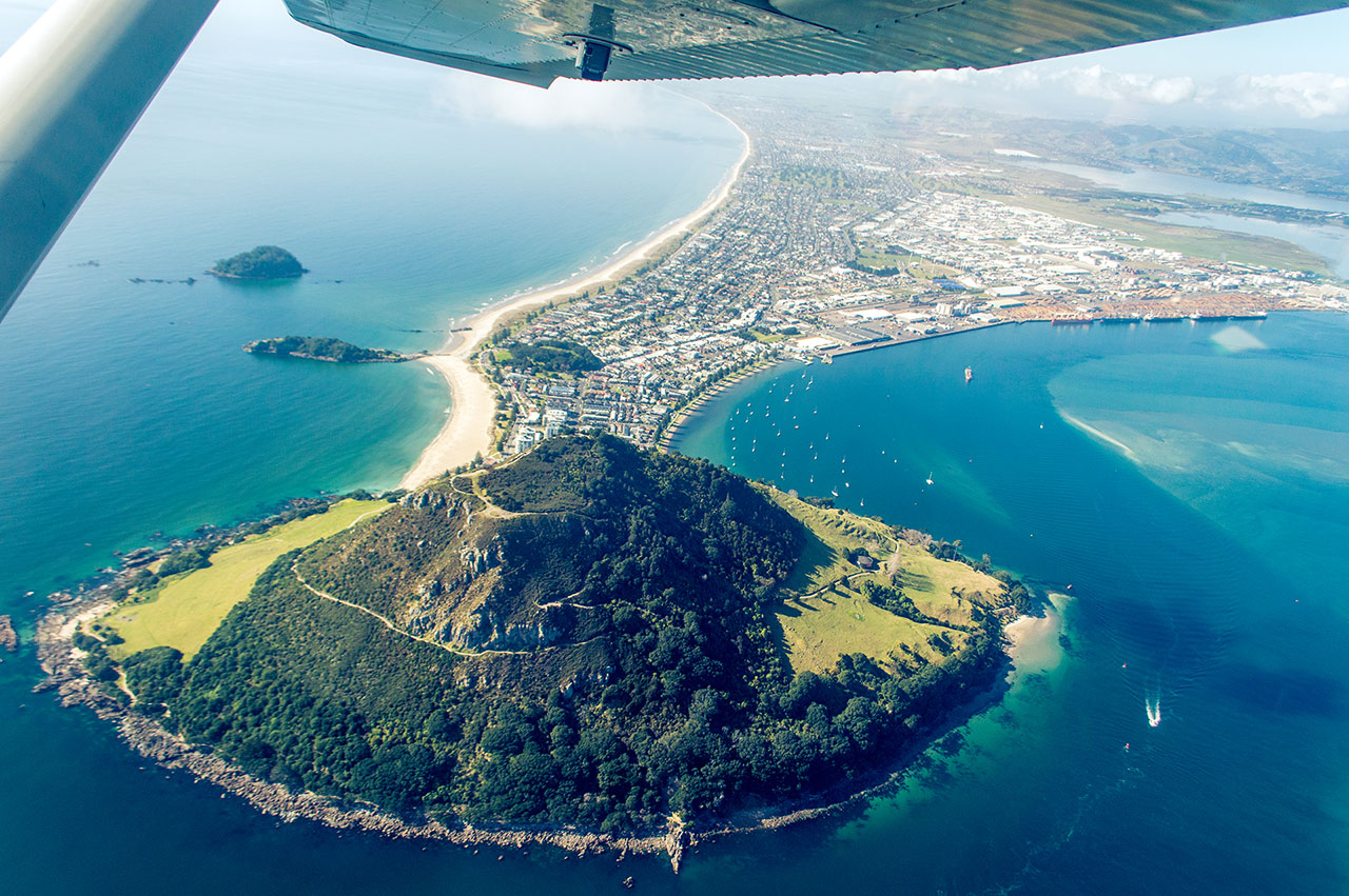 12,000 Foot Skydive over Tauranga - Image 3