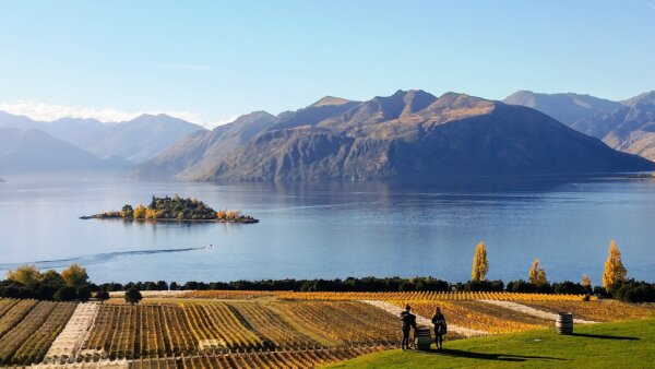 A beautiful day exploring the very best of the Wanaka wine scene! - Image 3
