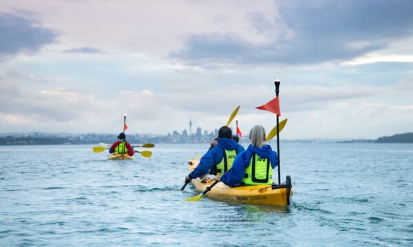 Half day Sea Kayaking tour to Browns Island in the Waitemata Harbour