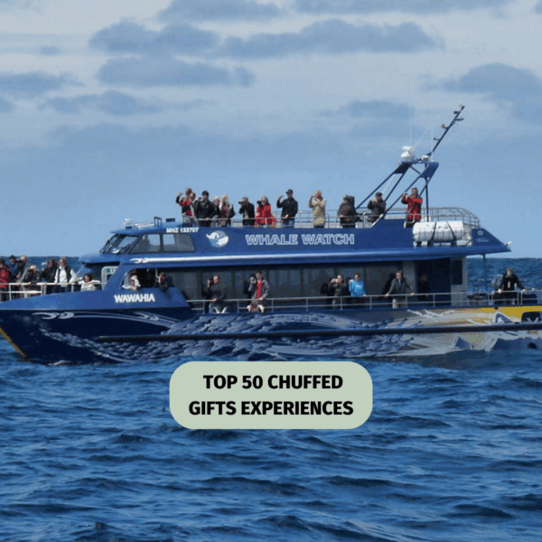 Kaikoura Whale Watch tour with 95% Whale spotting success rate!
