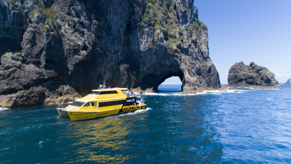 Bay of Islands & 'Discover the Bay' Cruise