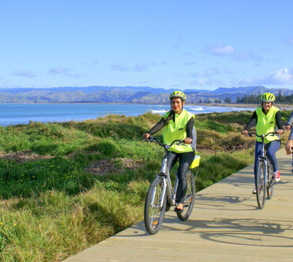 Full Day Bike Hire plus Wine Tasting and Cheese Board for two in Gisborne - Image 3