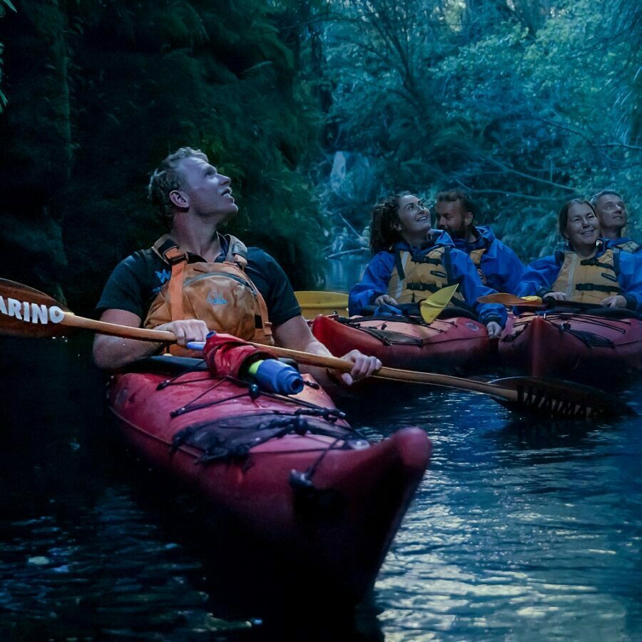 Evening Glowworm Kayaking tour near Tauranga