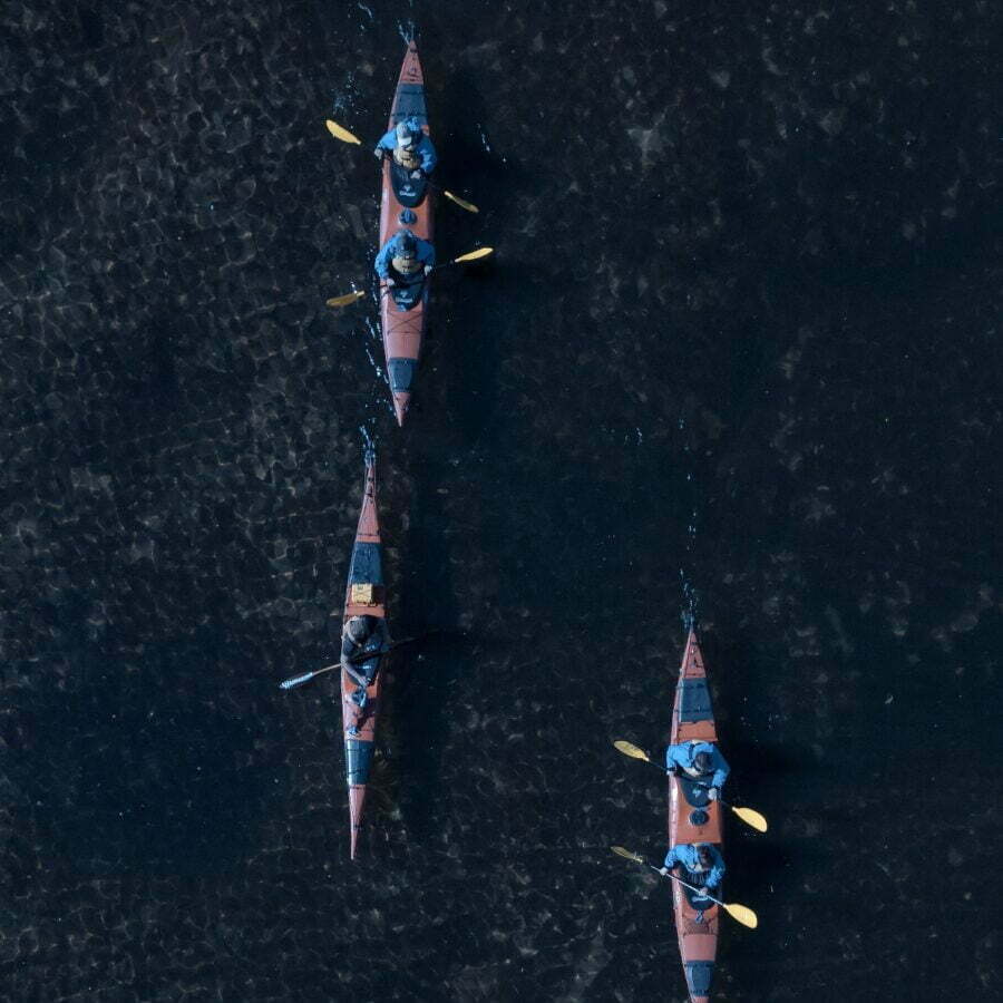 Evening Glowworm Kayaking tour near Tauranga - Image 3