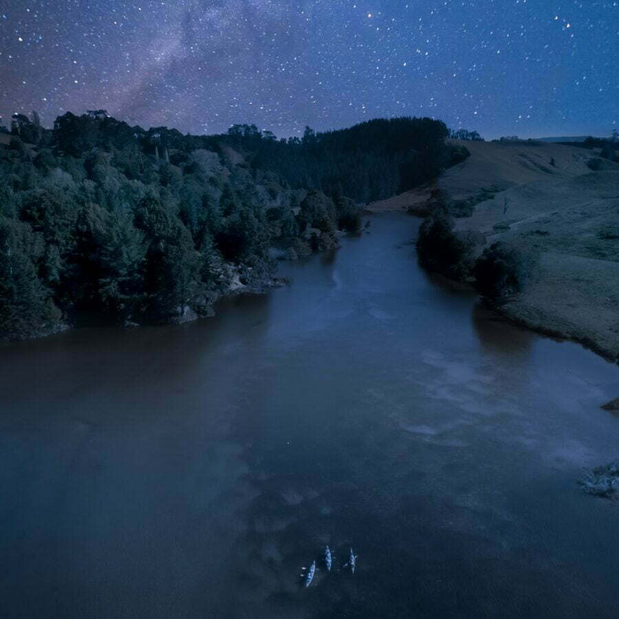 Evening Glowworm Kayaking tour near Tauranga - Image 4