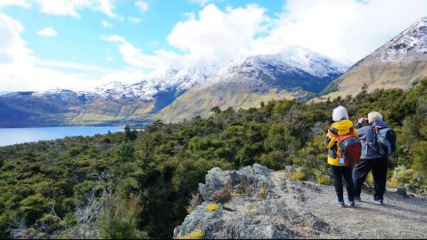 Lake Wanaka Cruise & Nature Walk on Stevensons Island - Image 4