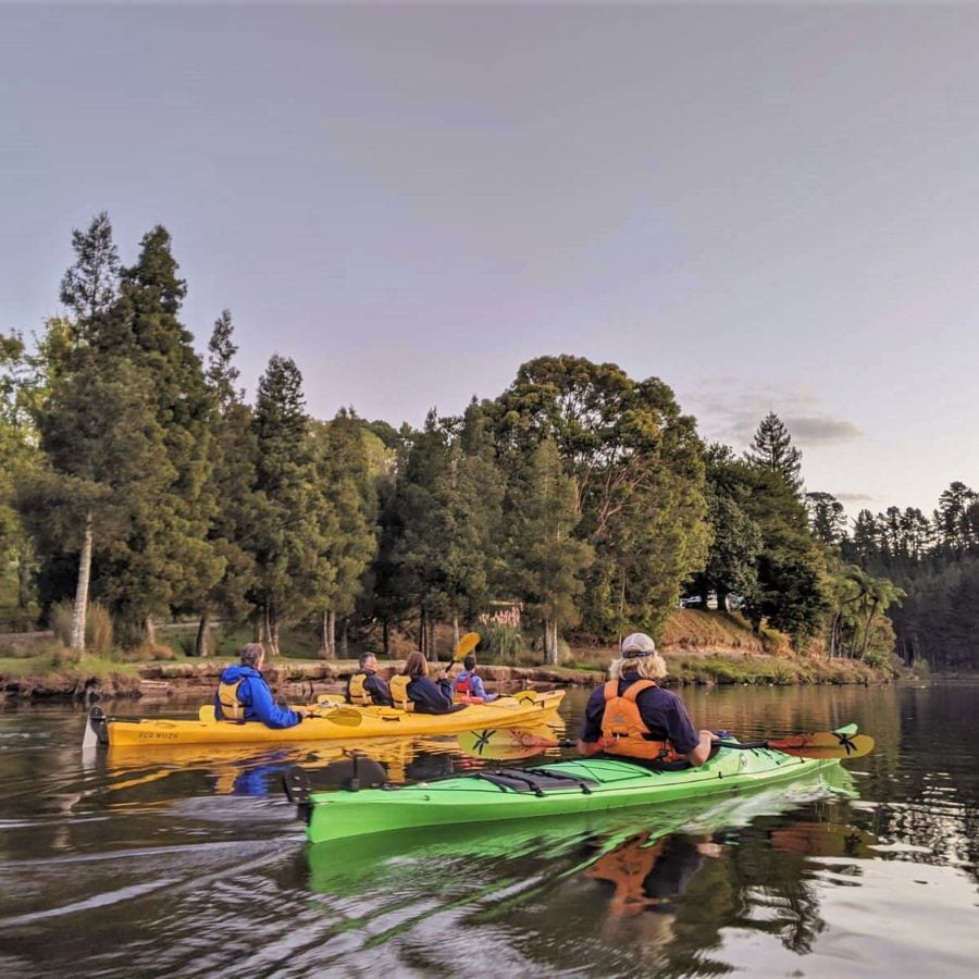 Evening Glowworm Kayaking tour near Tauranga - Image 2