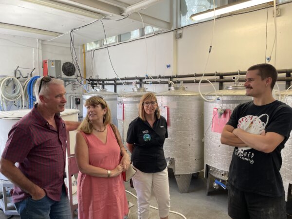 Craft beer tour in Wellington - Image 3