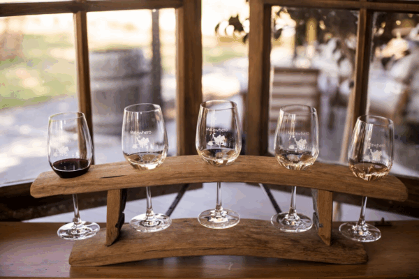 Full Day Bike Hire plus Wine Tasting and Cheese Board for two in Gisborne - Image 4