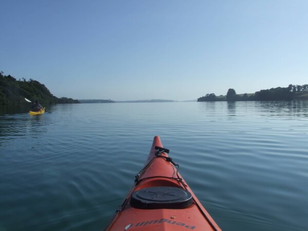 Bioluminescence evening Kayaking tour on Auckland's North Shore