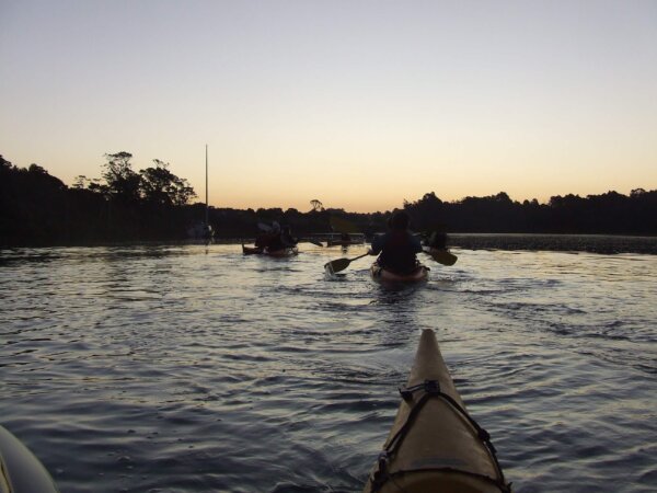 Bioluminescence evening Kayaking tour on Auckland's North Shore - Image 2