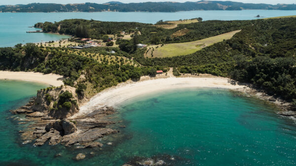 Explore Rotoroa Island Sanctuary in the Hauraki Gulf - Image 4