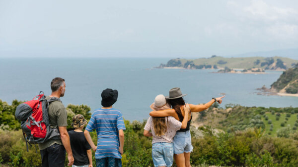 Explore Rotoroa Island Sanctuary in the Hauraki Gulf - Image 3