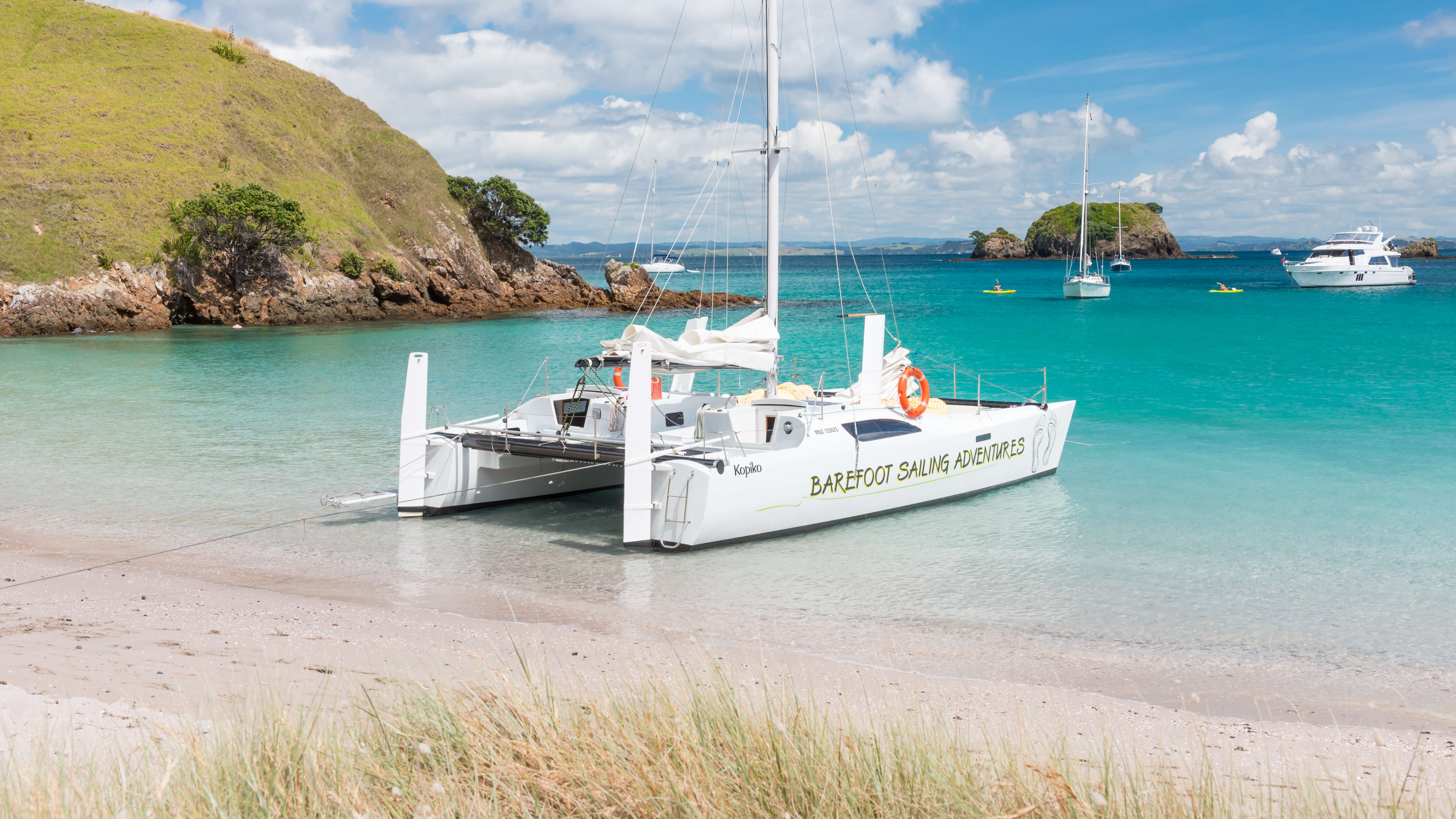Day sailing Island Hopper Cruise in the Bay of Islands - Image 5