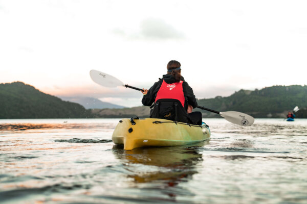 Rotorua Lakes Glowworm Kayaking - Image 4