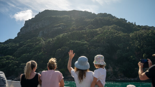 Explore North Island's most beautiful harbour with a 3 hour cruise departing Tauranga waterfront! - Image 2