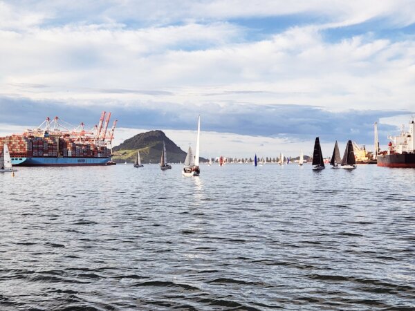 Explore North Island's most beautiful harbour with a 3 hour cruise departing Tauranga waterfront! - Image 4