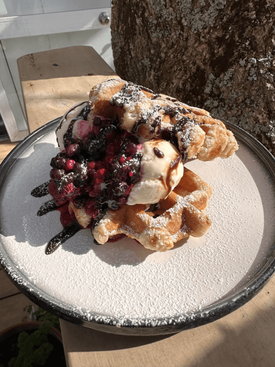 Visit the Matakohe Kauri Museum with lunch included - Image 5