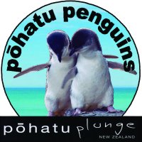 Picture of Pohatu Penguins
