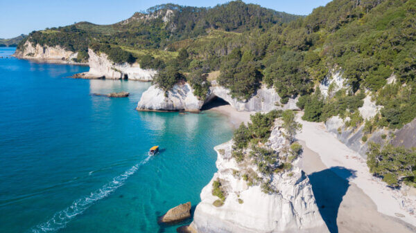 Experience the best of Coromandel above & below the Sea on an iconic Glass Bottom Boat tour! - Image 2