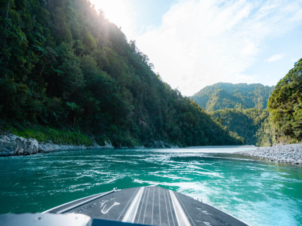 Jet Boat the Rangitaiki River near Whakatane - Image 3