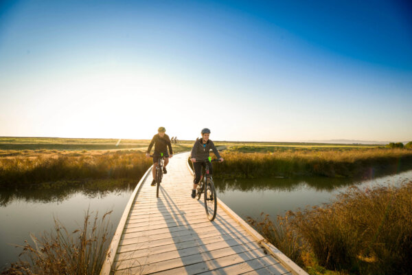 Breakfast, E-Bike Ride & Ocean Spa Soak package in Napier! - Image 2