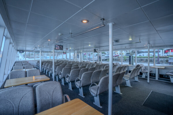 Scenic Cruise on Lake Whakatipu - Image 4