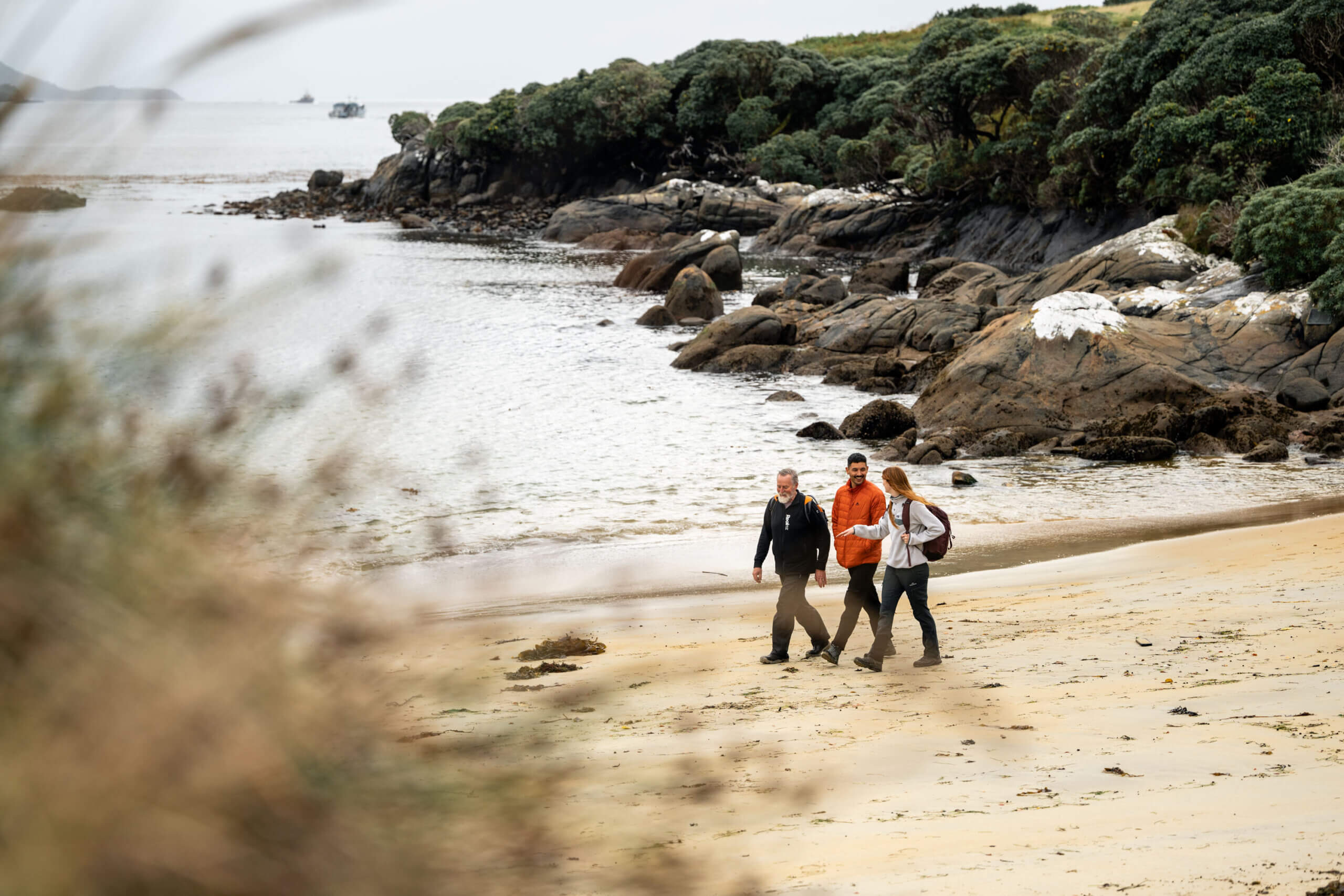Guided Stewart Island Wilderness Walk with Catamaran Cruise - Image 2